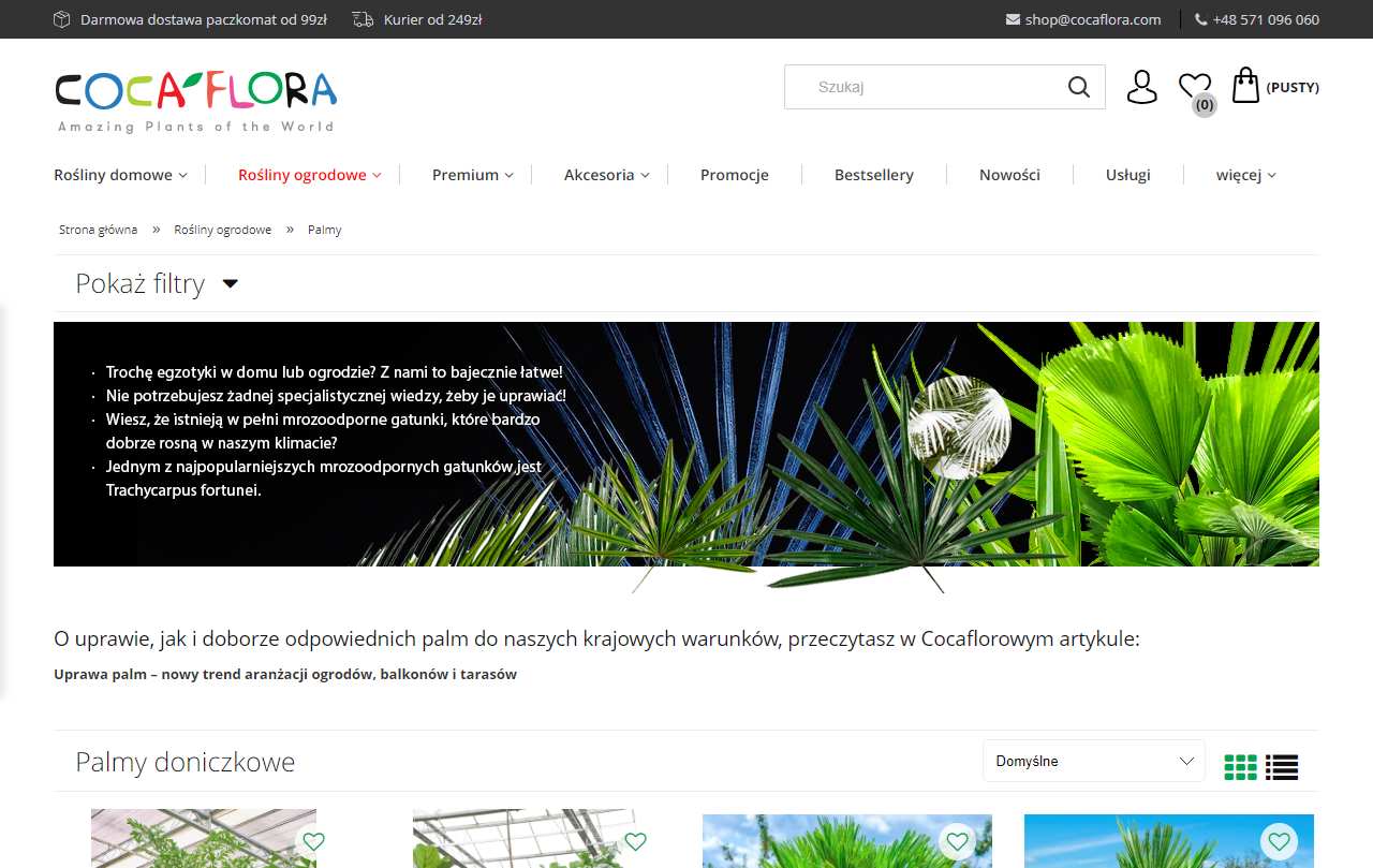 Palmy a wilgotność powietrza - jak stworzyć idealne warunki?