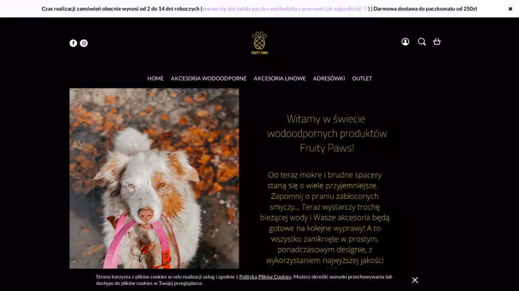 Zrzut ekranu strony Smycze i obroże dla psów | Sklep internetowy Fruity Paws